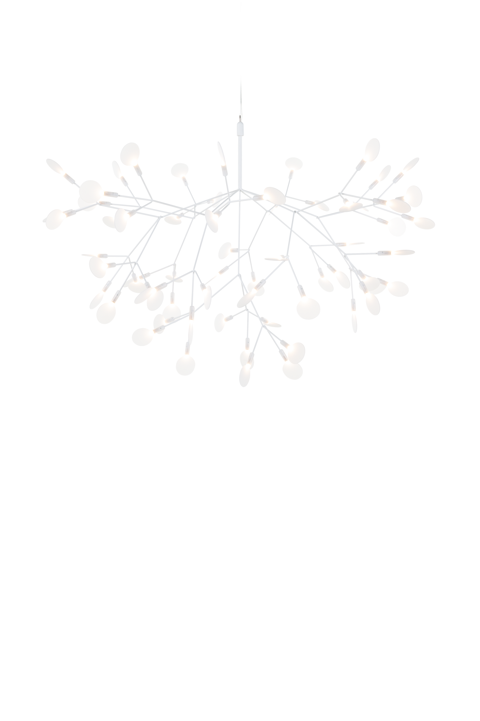 結婚祝い Heracleum III Suspended - Moooi ロールスクリーン